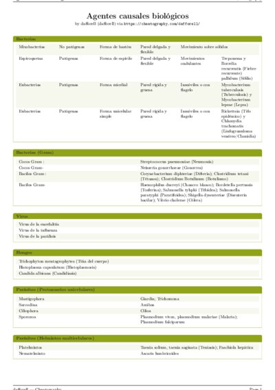LaTeX (Compiled PDF)