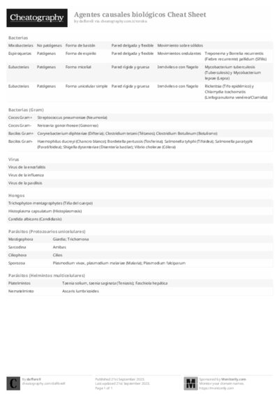 PDF (Black & white) — Style 2