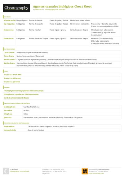 PDF (Colour) — Style 3