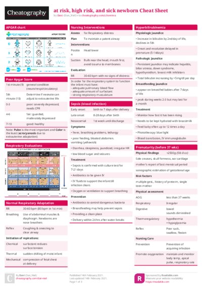 PDF (Colour) — Style 1