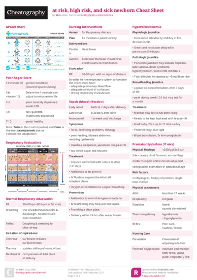PDF (Colour) — Style 2