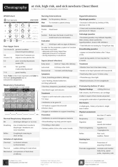 PDF (Black & white) — Style 2