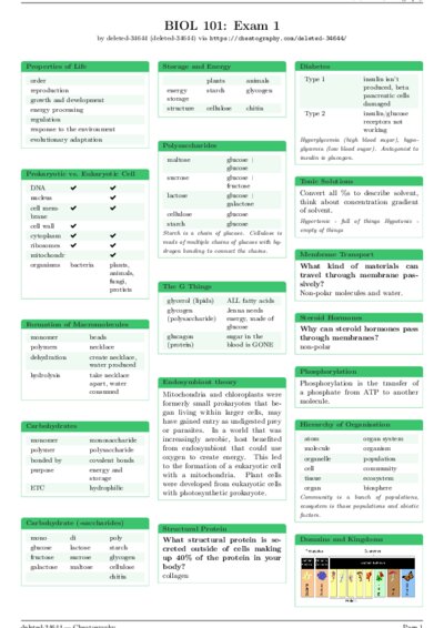 LaTeX (Compiled PDF)