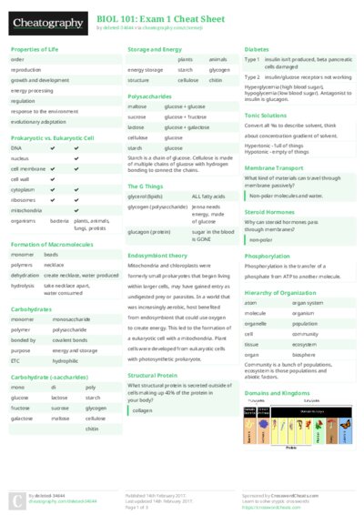 PDF (Colour) — Style 2