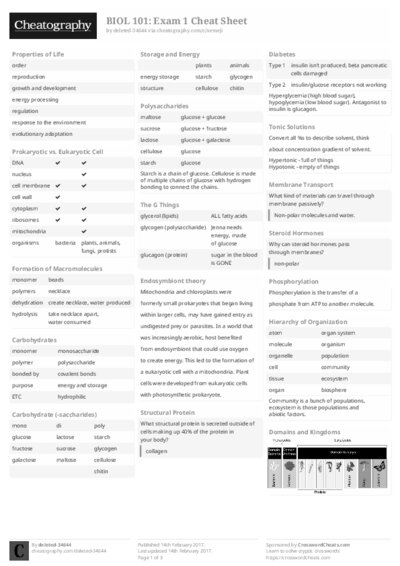 PDF (Black & white) — Style 2