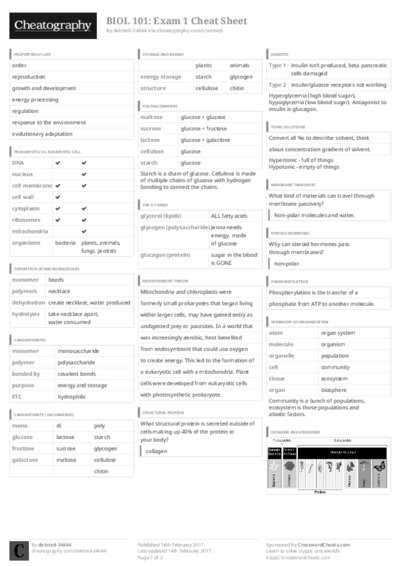 PDF (Black & white) — Style 3