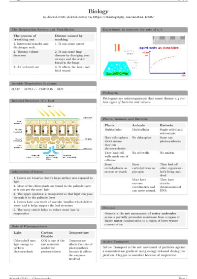 LaTeX (Compiled PDF)