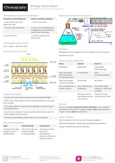 PDF (Colour) — Style 2