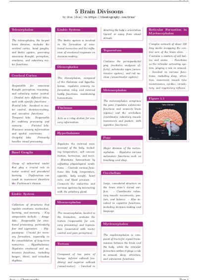 LaTeX (Compiled PDF)