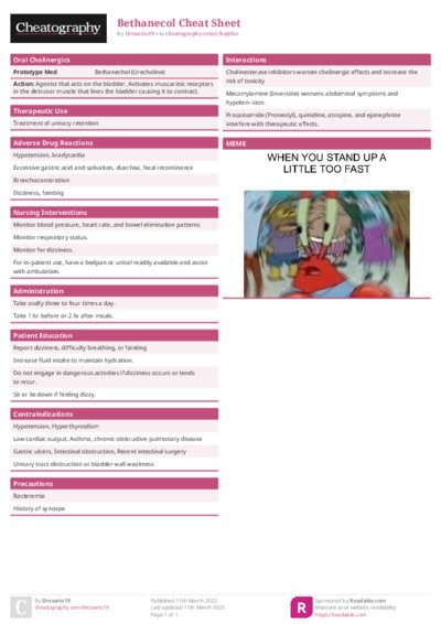 PDF (Colour) — Style 1