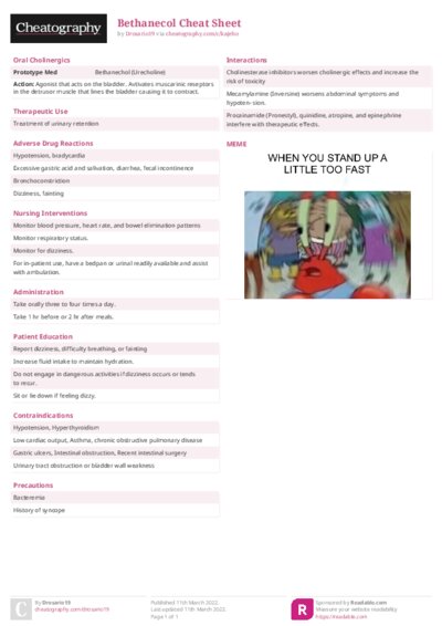 PDF (Colour) — Style 2