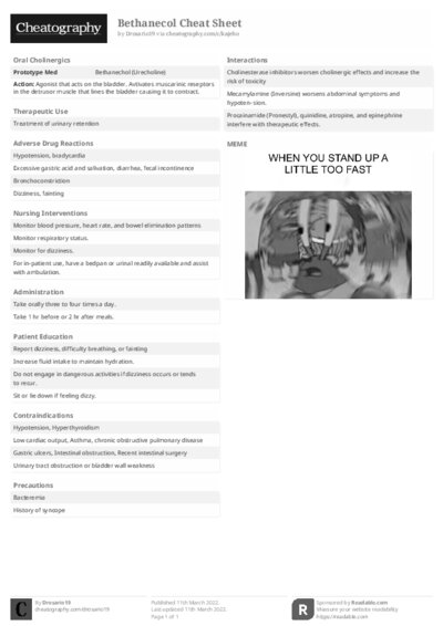 PDF (Black & white) — Style 2