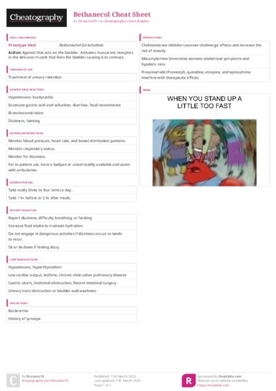 PDF (Colour) — Style 3