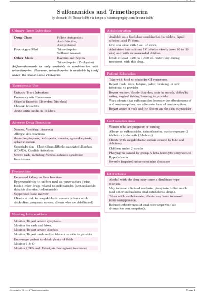 LaTeX (Compiled PDF)