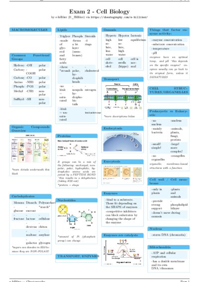 LaTeX (Compiled PDF)