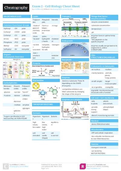 PDF (Colour) — Style 1