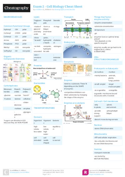 PDF (Colour) — Style 2