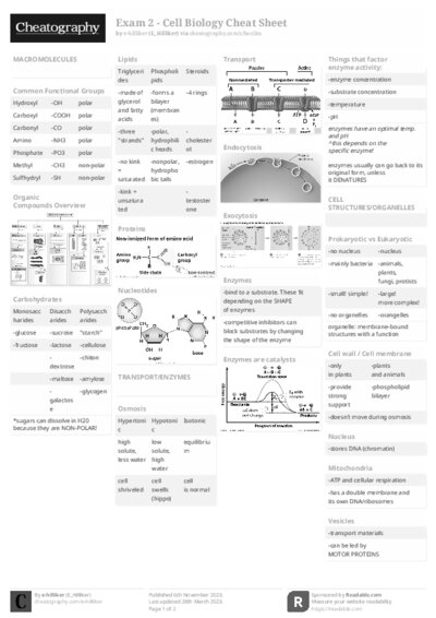 PDF (Black & white) — Style 2