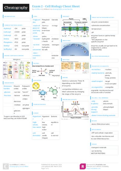 PDF (Colour) — Style 3