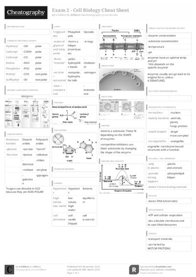PDF (Black & white) — Style 3