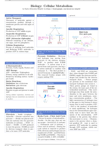 LaTeX (Compiled PDF)
