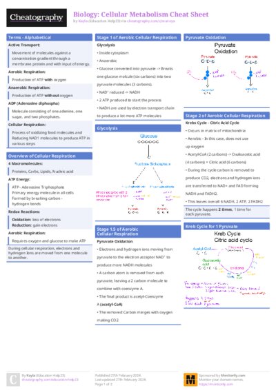 PDF (Colour) — Style 1