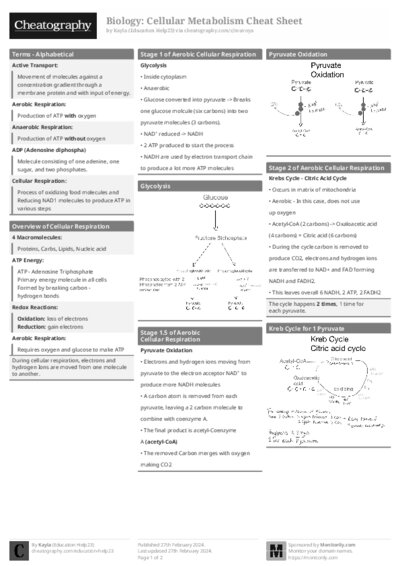 PDF (Black & white) — Style 1