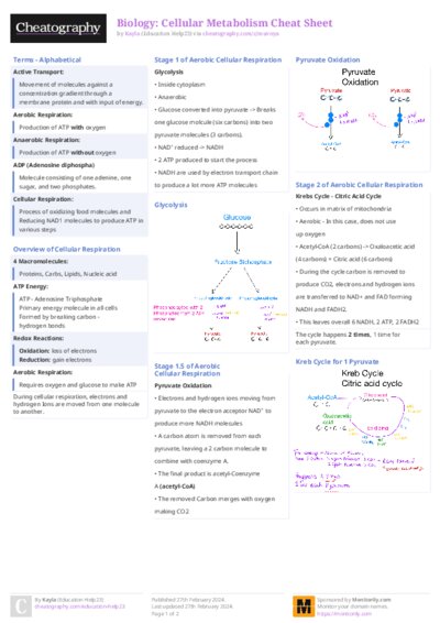 PDF (Colour) — Style 2