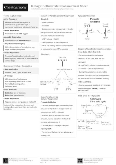 PDF (Black & white) — Style 2