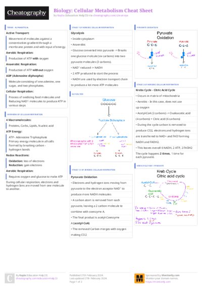 PDF (Colour) — Style 3