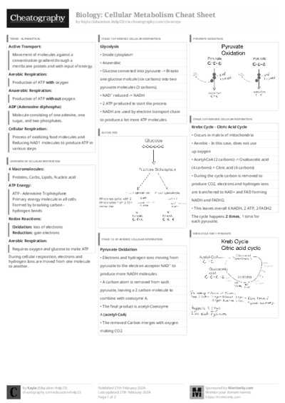 PDF (Black & white) — Style 3