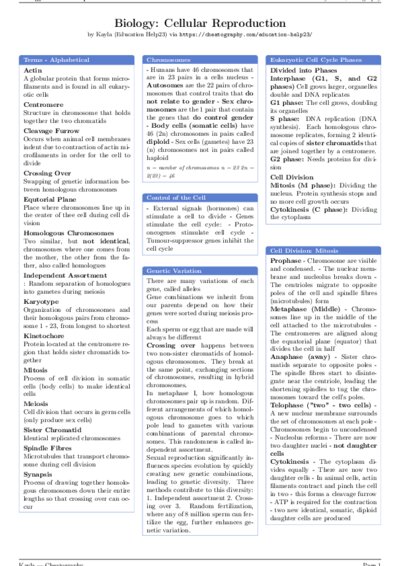 LaTeX (Compiled PDF)