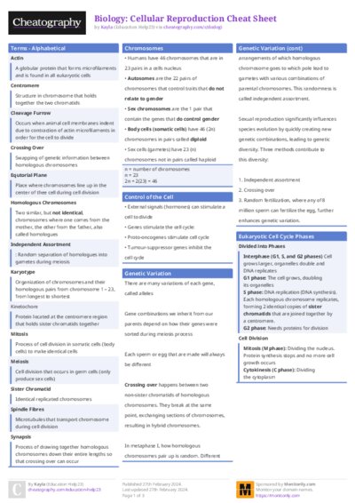 PDF (Colour) — Style 1