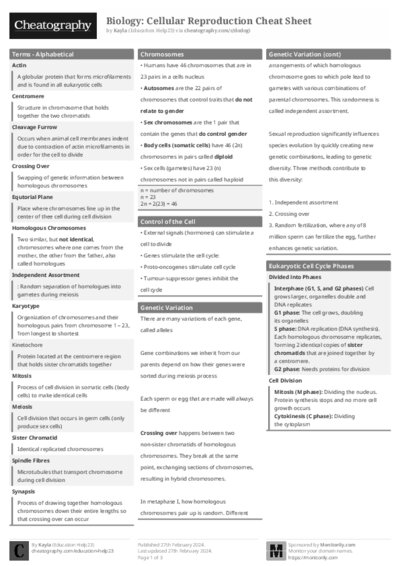 PDF (Black & white) — Style 1
