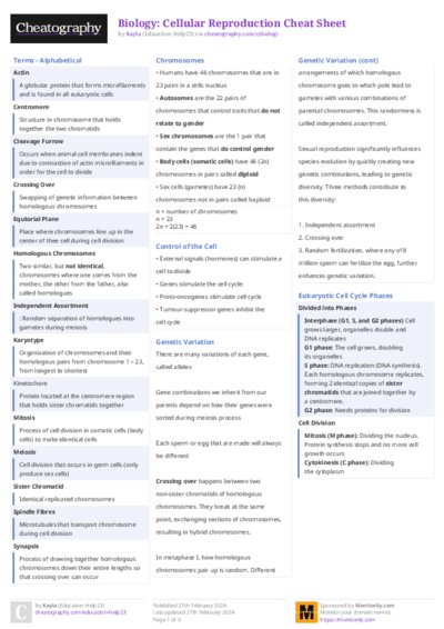 PDF (Colour) — Style 2