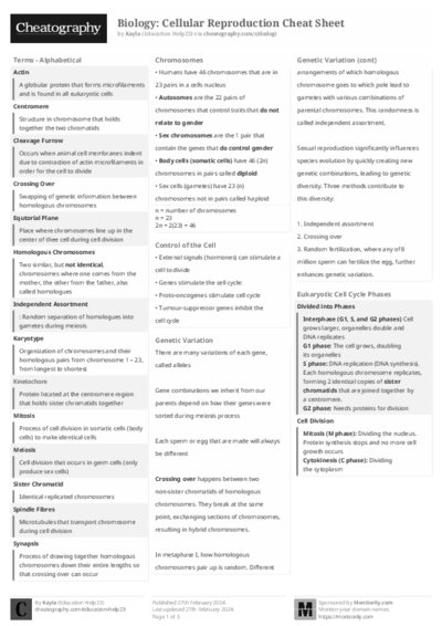 PDF (Black & white) — Style 2