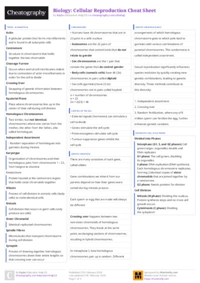 PDF (Colour) — Style 3