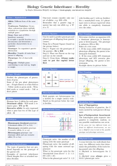 LaTeX (Compiled PDF)