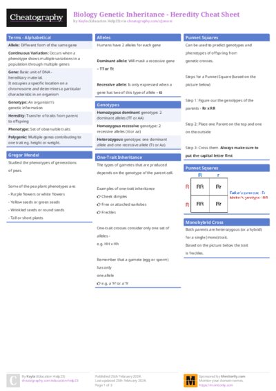 PDF (Colour) — Style 1