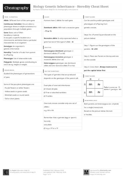 PDF (Black & white) — Style 3