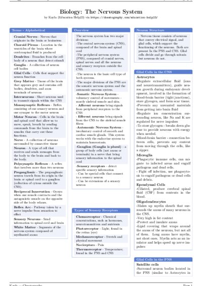 LaTeX (Compiled PDF)