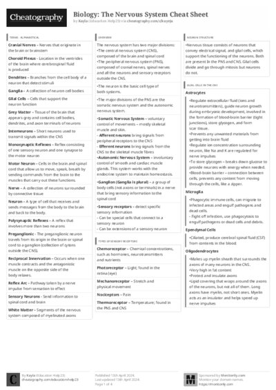 PDF (Black & white) — Style 3