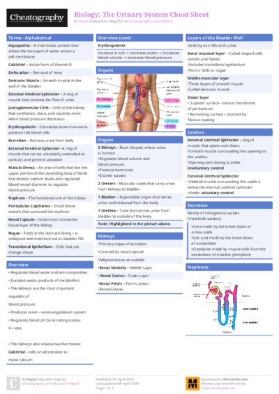 PDF (Colour) — Style 1