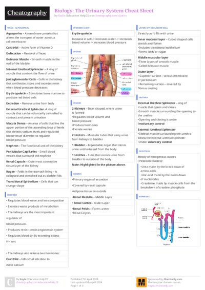 PDF (Colour) — Style 3