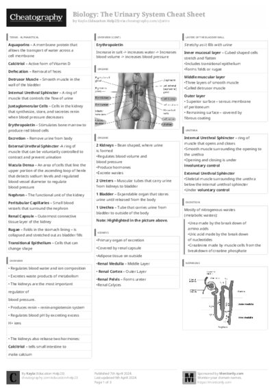 PDF (Black & white) — Style 3