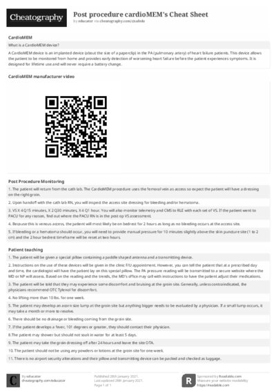PDF (Black & white) — Style 2