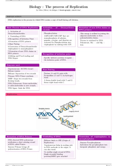LaTeX (Compiled PDF)