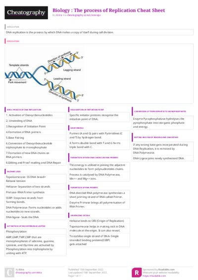 PDF (Colour) — Style 3