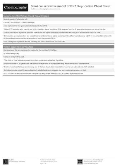 PDF (Black & white) — Style 1