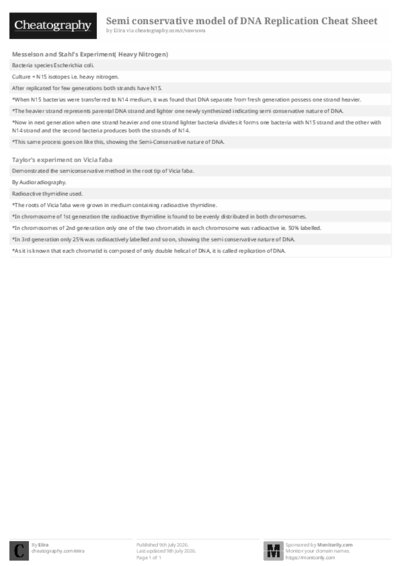 PDF (Black & white) — Style 2